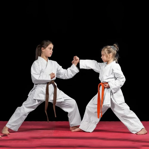 Self Defence Karate